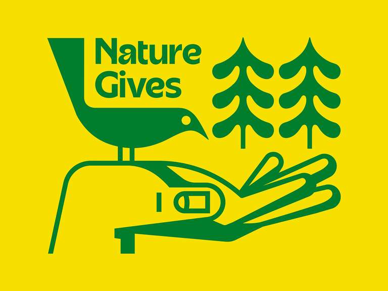 10 Nature Inspired Logo Design Inspirations for Brand Identity Design