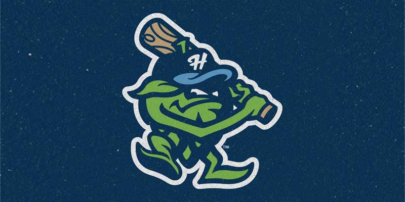 10 Baseball Logo Design Inspirations for Brand Identity Design