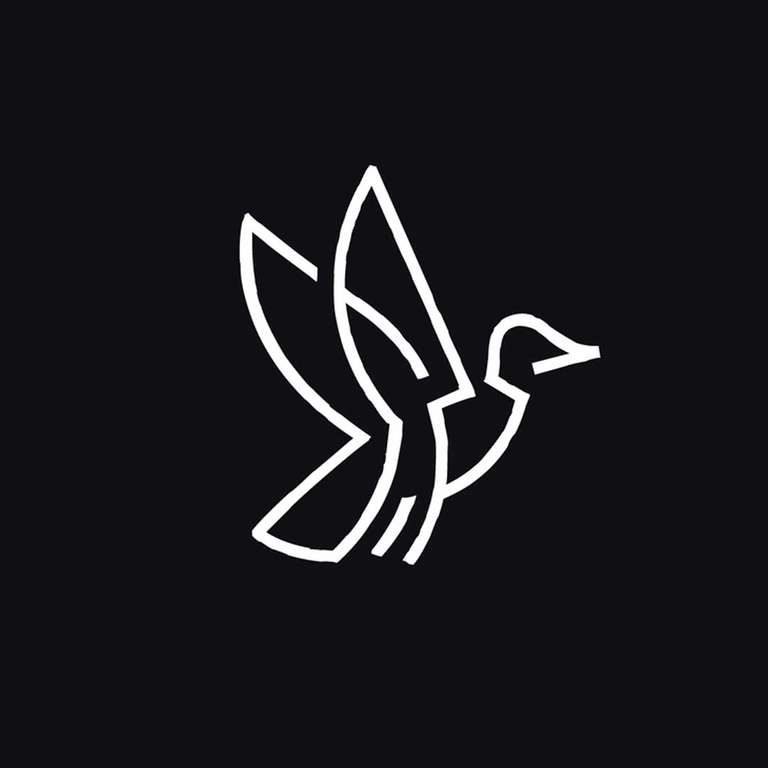 10 Duck Logo Design Inspirations for Brand Identity Design